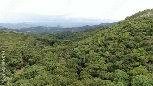 paisagens áreas de natureza