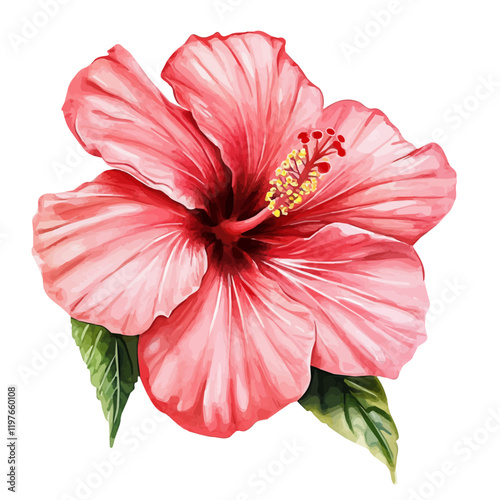 A watercolor of a hibiscus flower, isolated on a white background. Hibiscus flower vector.
