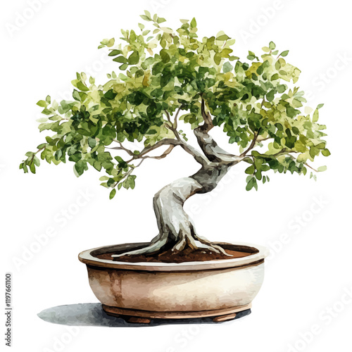 A watercolor painting of a hackberry bonsai, isolated on a white background. Hackberry bonsai vector.
