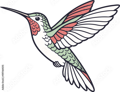 hummingbird and flower vector
