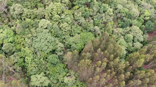 paisagens áreas de natureza