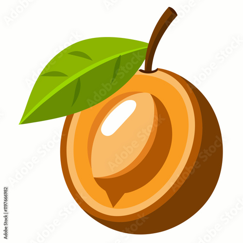sapodilla isolated on white background