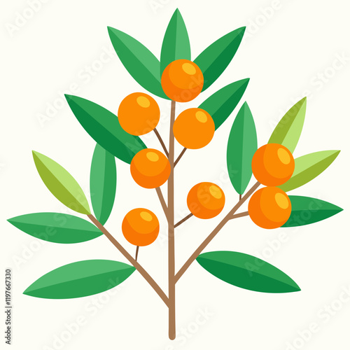 vector illustration of a sea buckthorn