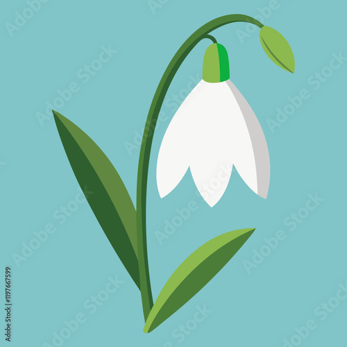 snowdrop flower with dew drops