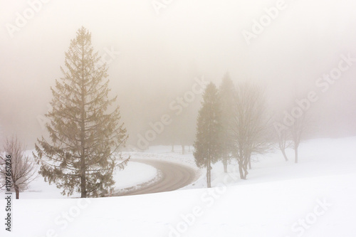 Wallpaper Mural forest on a foggy morning in winter. beautiful nature scenery with trees on a snow covered hills. overcast sky Torontodigital.ca