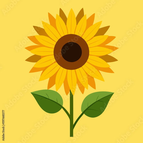 sunflower vector