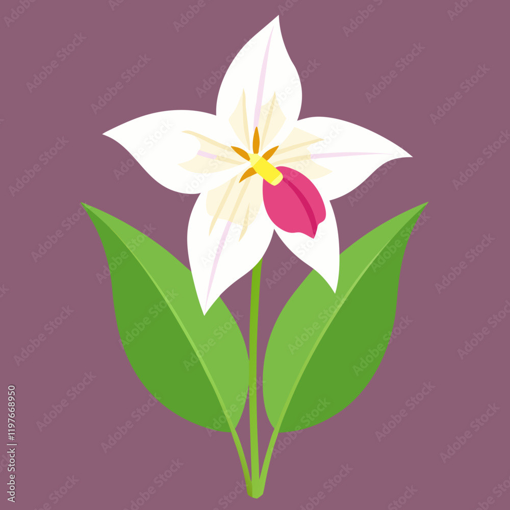 Naklejka premium illustration of a trillium flower