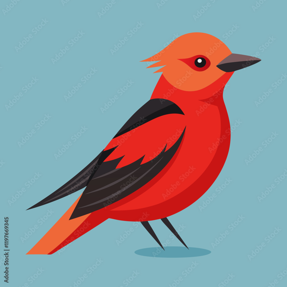 illustration of a vermilion flycatcher illustration of a vermilion flycatcher