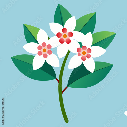 waxflower vector