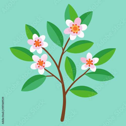 illustration of a waxflower