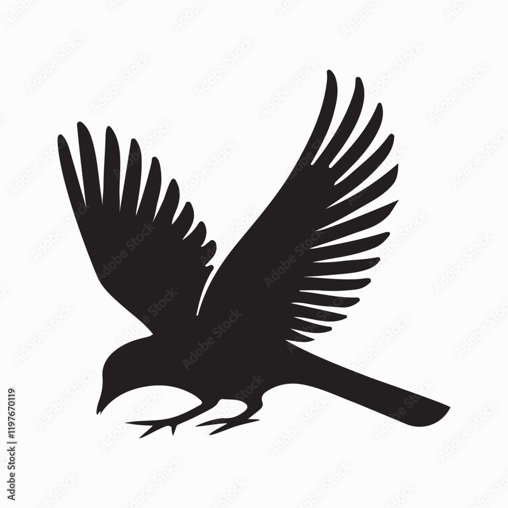 Fototapeta premium Bird Silhouette with Detailed Plumage