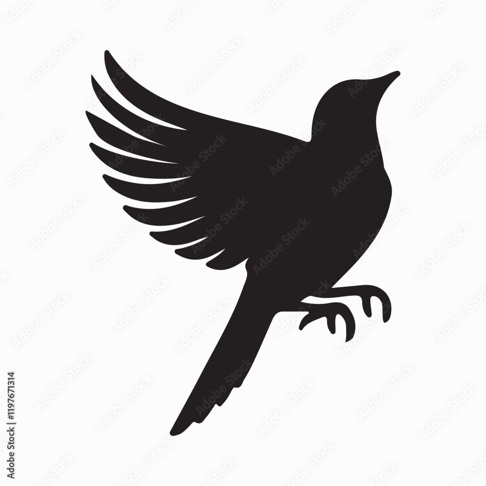 Fototapeta premium Bird Silhouette with Extended Talons