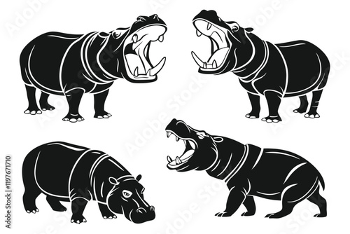 Angry hippopotamus animals with white background.