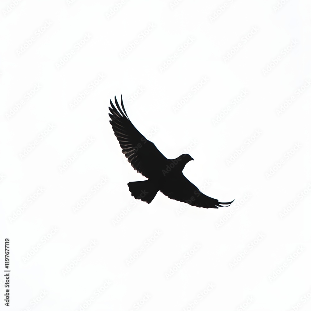 Dark bird silhouette soaring in bright sky Dark bird silhouette soaring in bright sky