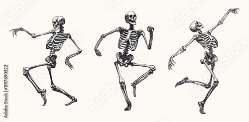 skeletons set isolated dance movements various dynamic pose hand drawn sketch card design element line art detailed vector illustration
