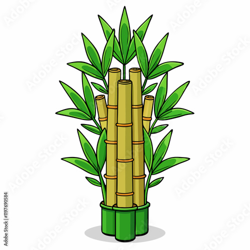 bamboo