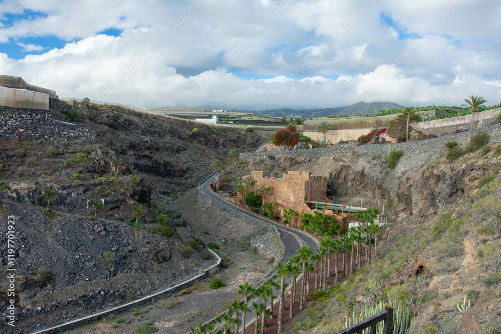 Obraz premium rugged landscape and vegetation in Tenerife