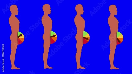 Color-coded erectile function chart with animated arrow on green, blue chromakey, and transparent background.