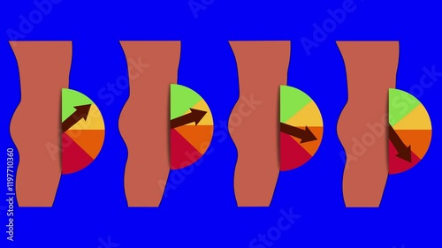 Animation of a stationary nude male side view with an animated arrow indicating erectile function on a color-coded chart