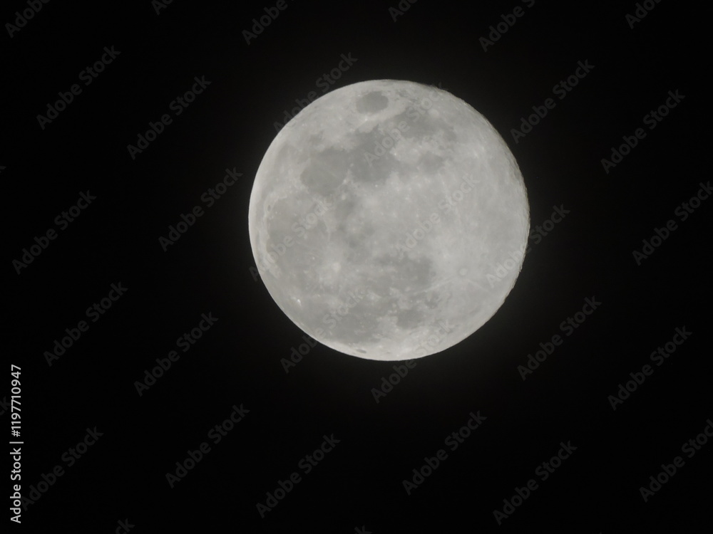 Fototapeta premium Full moon