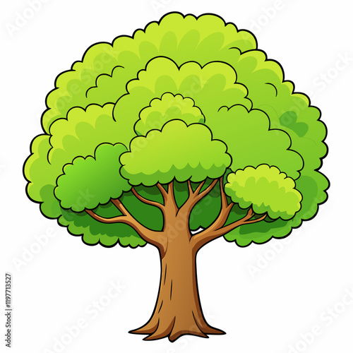 tree with green leaves elm