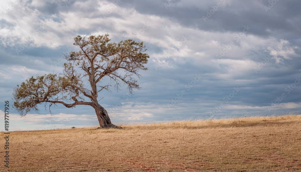 Obraz premium Lonely firefly tree stands resilient on a desolate plain under strong winds