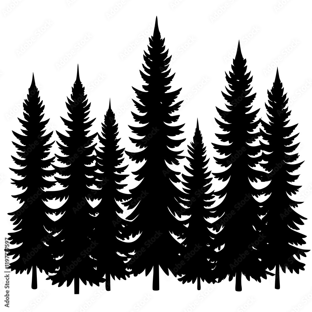 Fototapeta premium pine tree forest silhouette, 