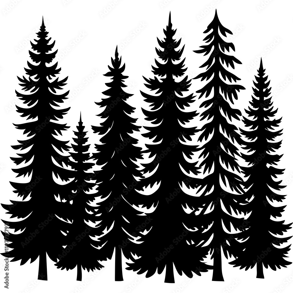 Fototapeta premium pine tree forest silhouette, 