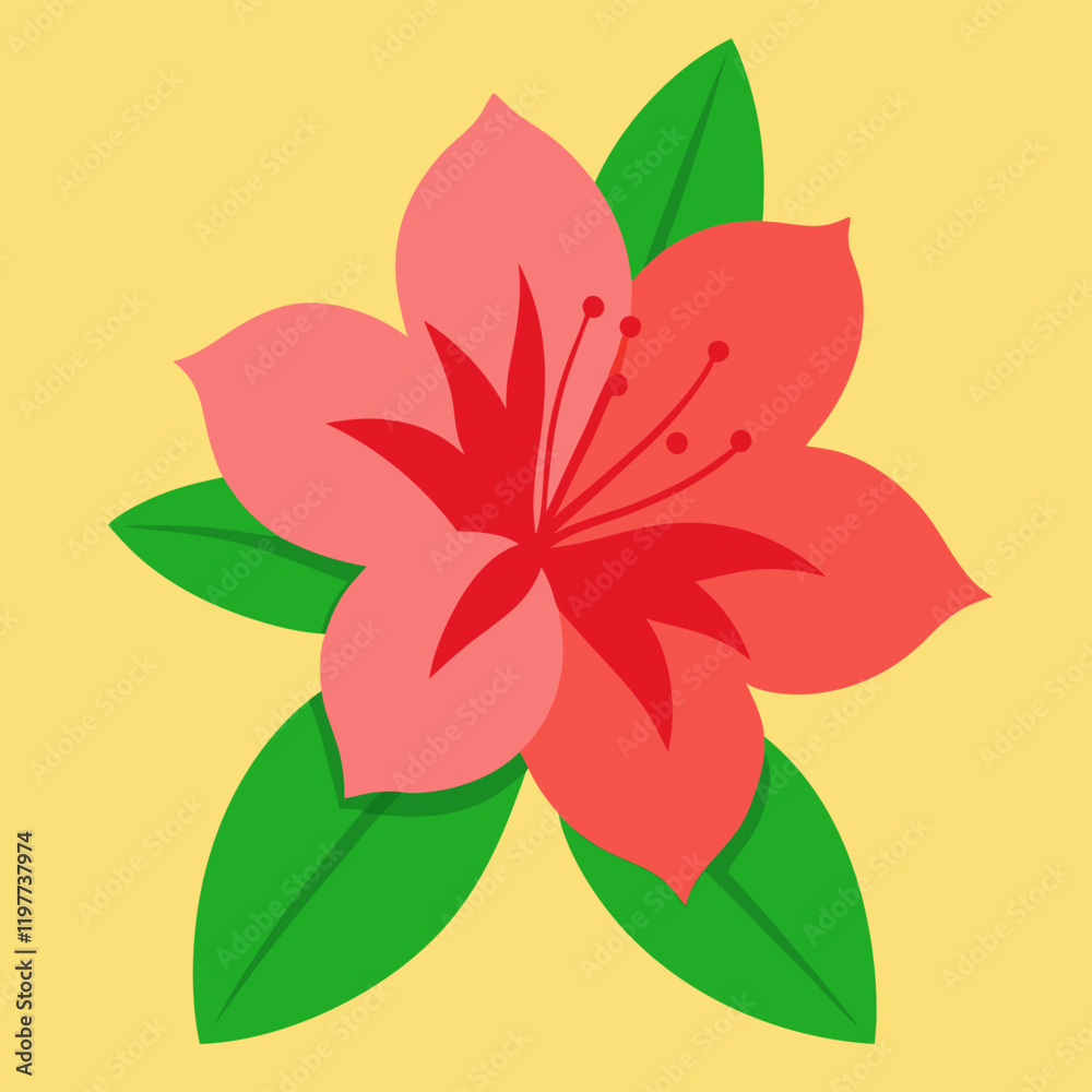 vector illustration of an azalea flower vector illustration of an azalea flower