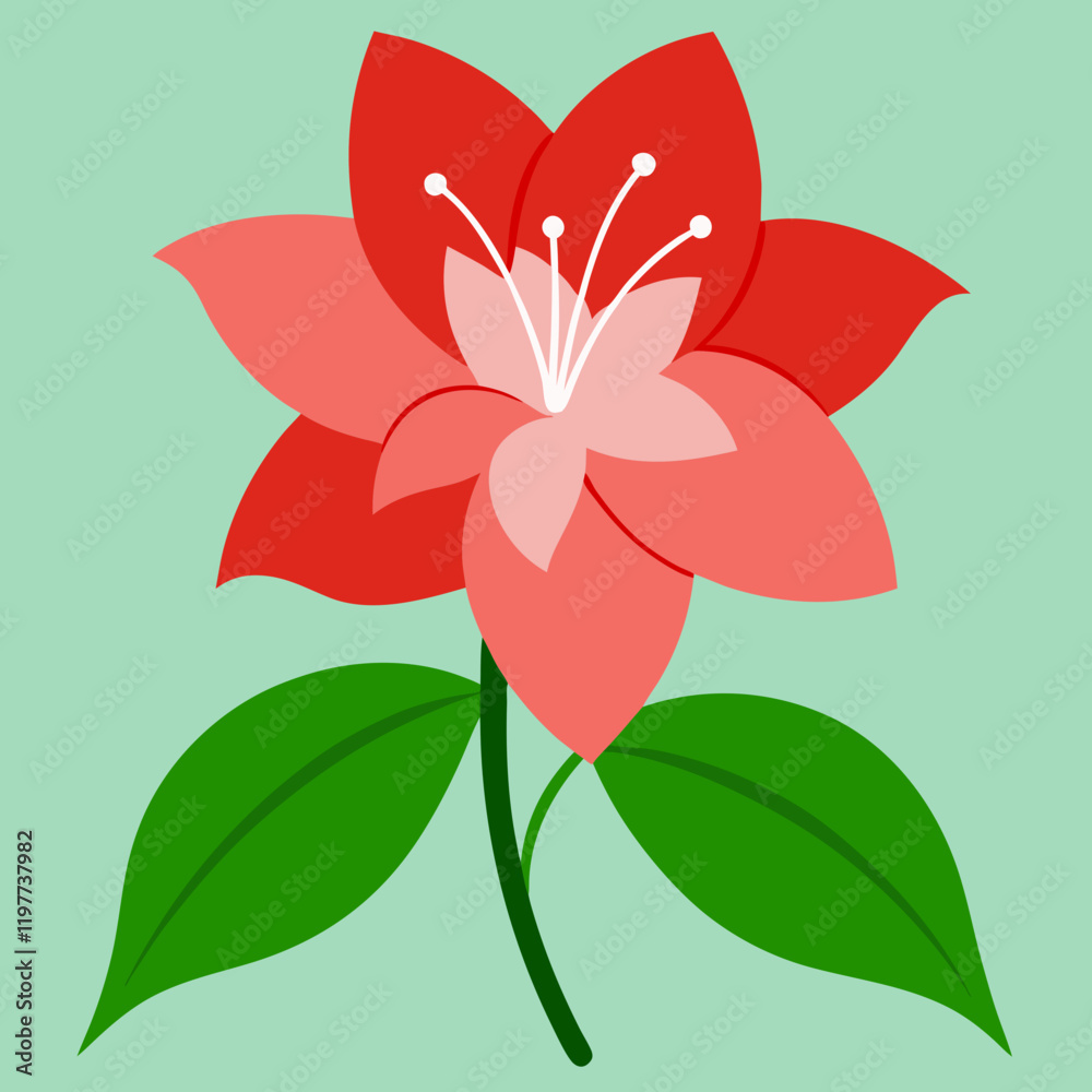vector illustration of an azalea flower vector illustration of an azalea flower