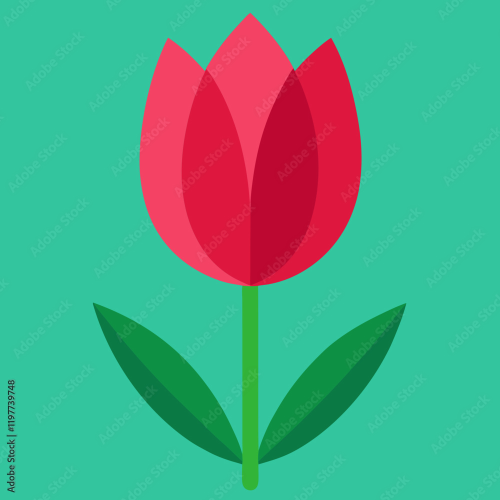 red tulip on a background