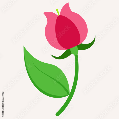 vector illustration of sweet pea flower
