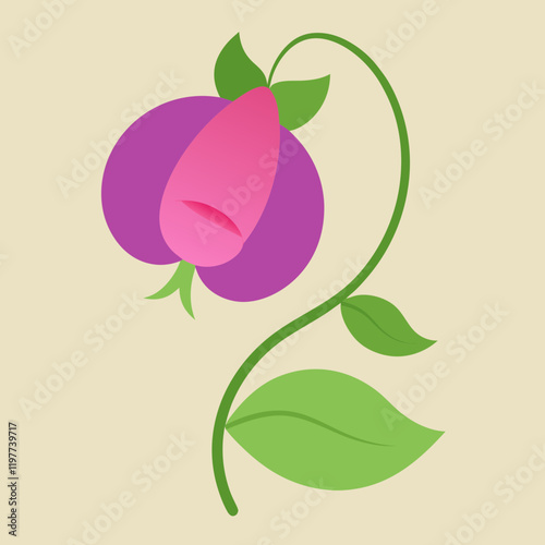 vector illustration of sweet pea flower