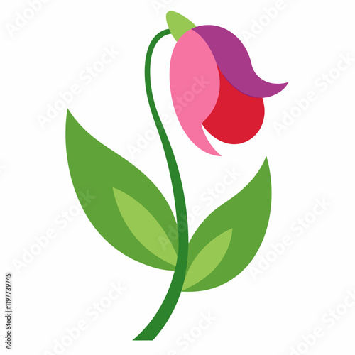 vector illustration of sweet pea flower