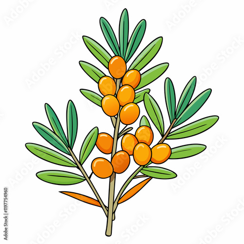 branch of orange