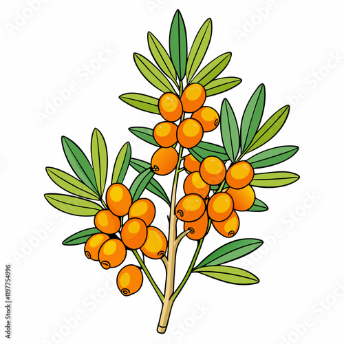 bouquet of flowers