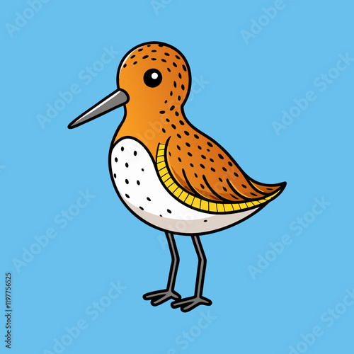 spoon billed sandpiper bird