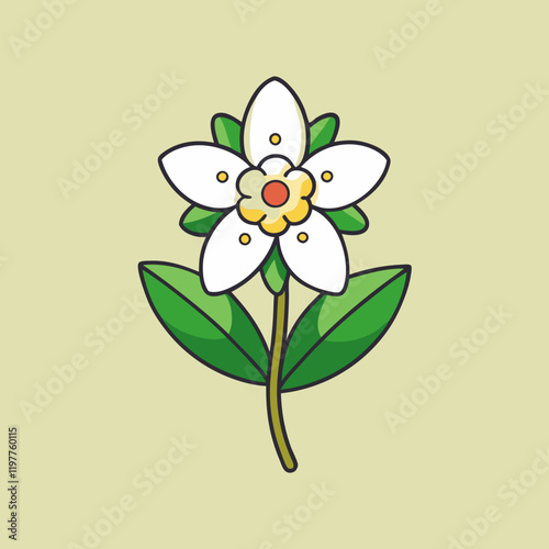 waxflower vector illustration