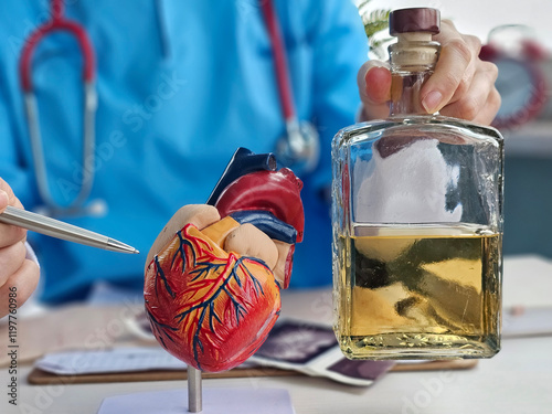 Cardiologist demonstrates models of the heart and blood vessels