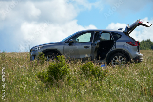 Meadow strawberry (green strawberry) picking season. Meadow. A lone car on a field road surrounded by summer grass.