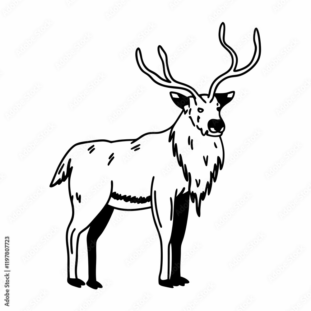 deer illustration deer illustration