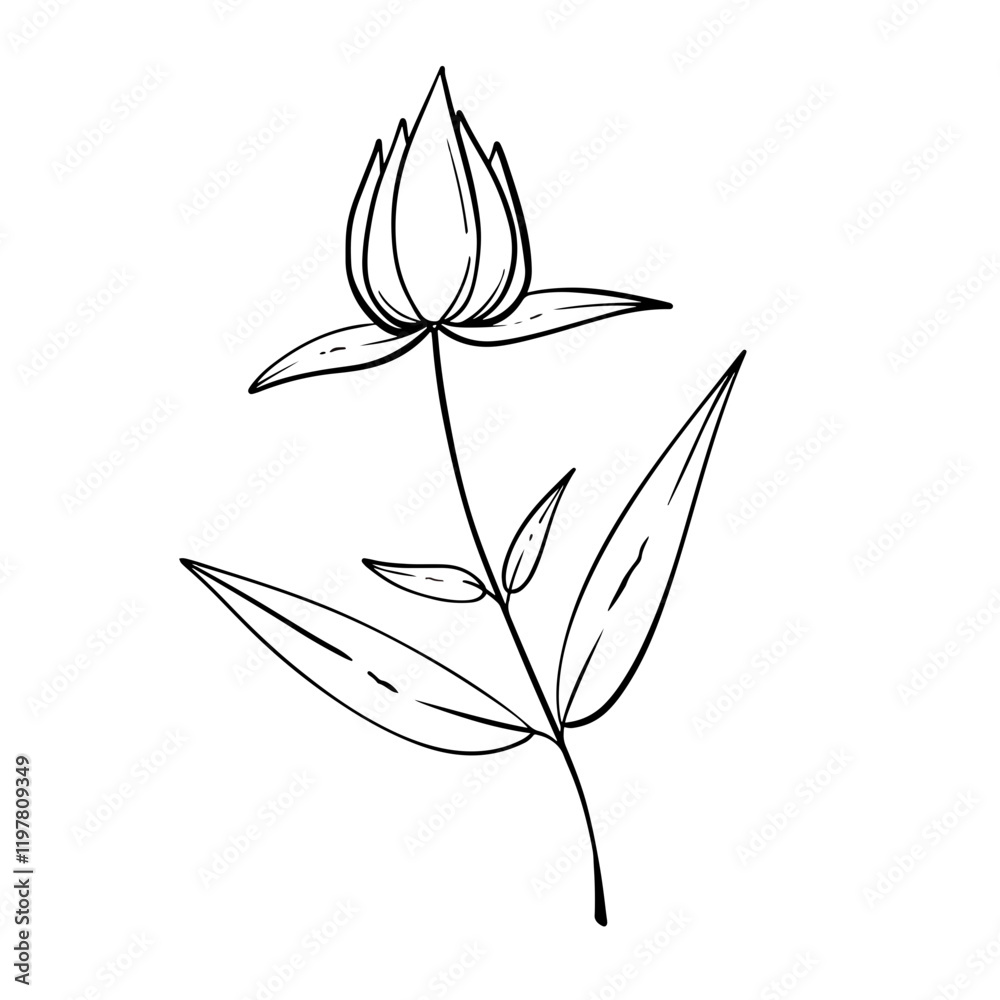 Obraz premium handdrawn aesthetic leaf
