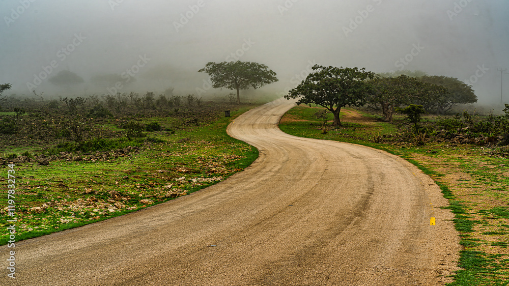 road in the fog