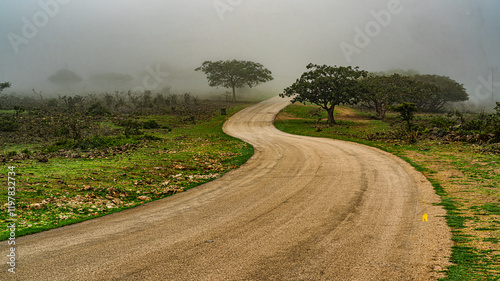 Obraz na płótnie road in the fog w salonie