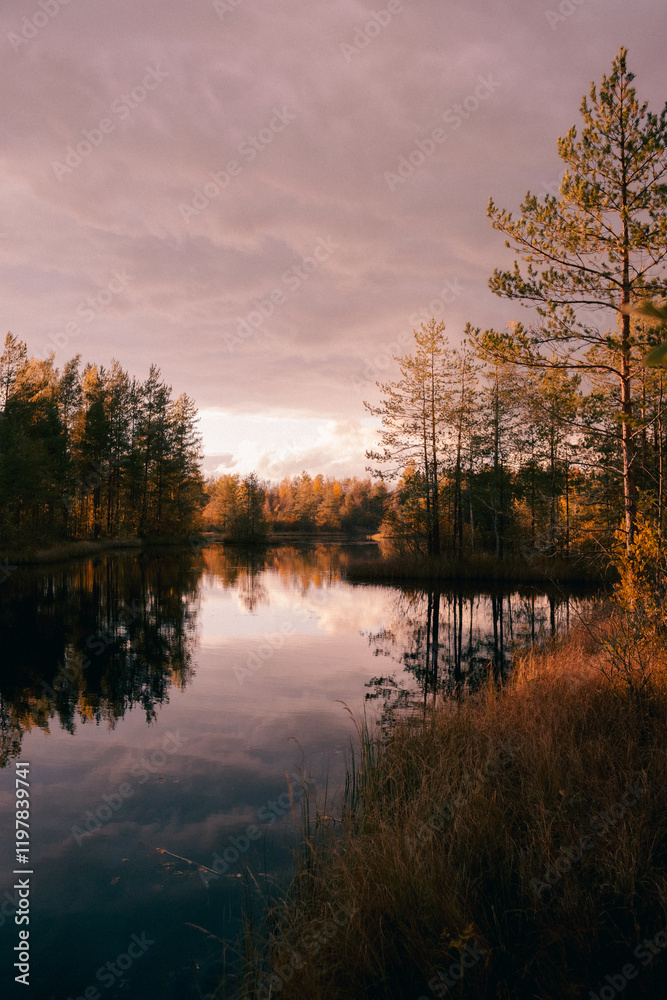 Fototapeta premium sunset over the lake, autumn forest