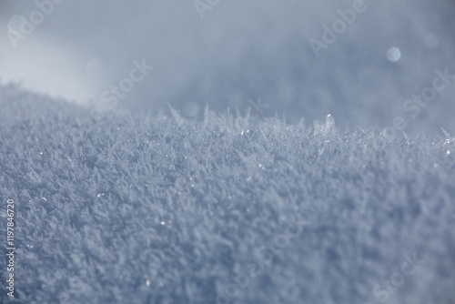 Close-up of delicate frost crystals sparkling in soft light in Georgia photo