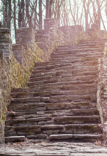 Stone stairs leading up through a wooded area with sunlight shining