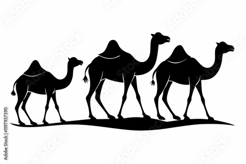 animals camels black and white color silhouette