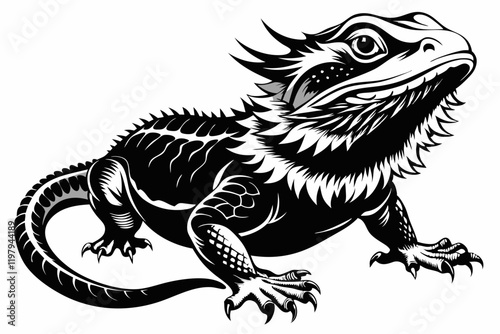  bearded dragon  silhouetted 