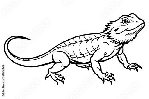  bearded dragon  silhouetted 